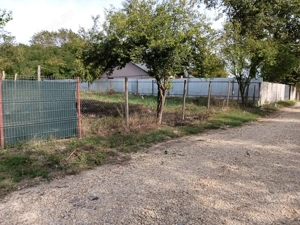 Teren 800mp Mereni de sus Teleorman