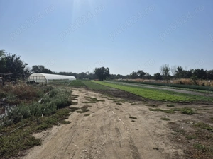 Merita văzut si cumpărat!