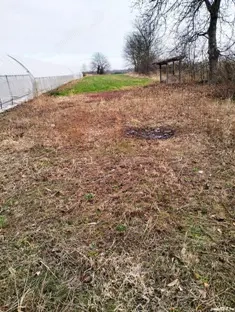 Teren intravilan lipia ilfov langa padure 4400mp - imagine 2