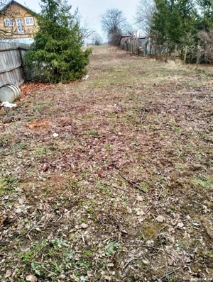 Teren intravilan lipia ilfov langa padure 4400mp - imagine 3