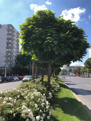 APARTAMENT 3 camere, Piata Gorjului - imagine 5