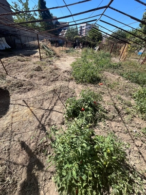 Teren intravilan Stadion - imagine 2