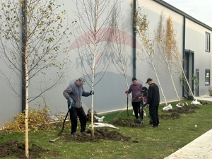 Spatiu industrial Hale, depozit logistic, Birouri premium - Targoviste - imagine 10