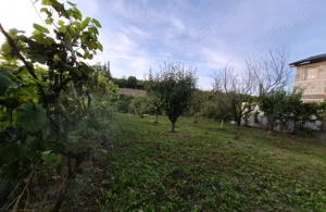 Vând casă la Dumbravă unirea Alba  - imagine 2