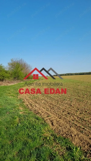 Teren extravilan in Urleta--5000m--18.500e - imagine 6