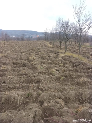 Vand Teren intravilan