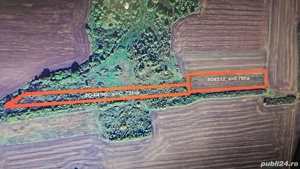 Teren extravilan Folea Timis - imagine 2