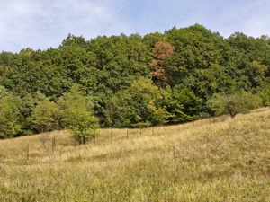 Vând 2 teren intravilan a câte 2050mp fiecare,livada cu nuci ideal pentru construcție sau investitie - imagine 2