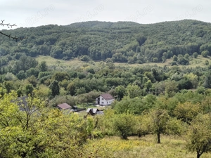 Vând 2 teren intravilan a câte 2050mp fiecare,livada cu nuci ideal pentru construcție sau investitie - imagine 5