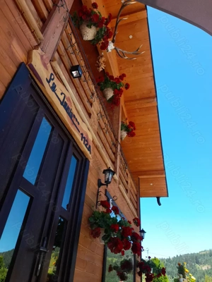 Cabana de inchiriat Vatra Dornei