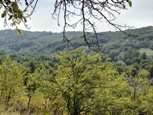 Vând 2 teren intravilan a câte 2050mp fiecare,livada cu nuci ideal pentru construcție sau investitie - imagine 8