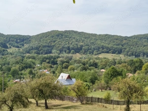 Vând 2 teren intravilan a câte 2050mp fiecare,livada cu nuci ideal pentru construcție sau investitie - imagine 9