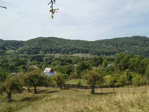 Vând 2 teren intravilan a câte 2050mp fiecare,livada cu nuci ideal pentru construcție sau investitie - imagine 7