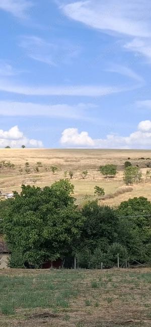 Vand teren intravilan Esechioi , jud Constanta , 5500 euro negociabil - imagine 3