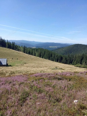 Teren de vânzare   locație deosebită la munte, într-o zonă retrasă și liniștită  - imagine 2