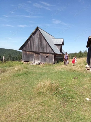 Teren de vânzare   locație deosebită la munte, într-o zonă retrasă și liniștită  - imagine 4