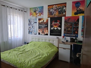 Vand casa Sânmihaiu Român - imagine 8