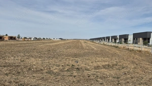 Teren intravilan 16.248 mp - Domnesti - imagine 5