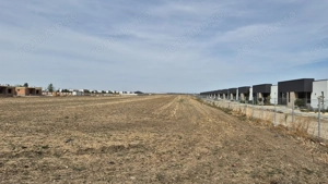 Teren intravilan 16.248 mp - Domnesti