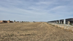 Teren intravilan 16.248 mp - Domnesti - imagine 4