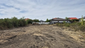 Teren intravilan 1000 mp - Domnesti
