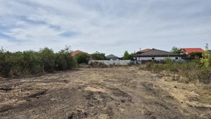 Teren intravilan 1000 mp - Domnesti - imagine 4