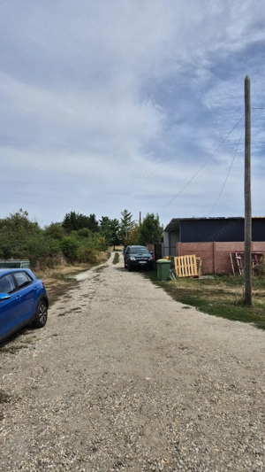 Teren intravilan 1000 mp - Domnesti - imagine 5