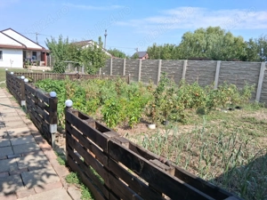 Vand casa individuala Sanmihaiu Roman - imagine 6