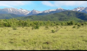 Vand teren intravilan Valea Avrigului, judetul Sibiu - imagine 4