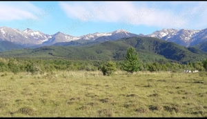 Vand teren intravilan Valea Avrigului, judetul Sibiu - imagine 3