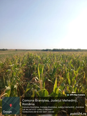 Vînd teren arabil extravilan!