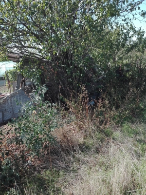 vand teren intravilan Baduleasa,Teleorman , 2500mp - imagine 6