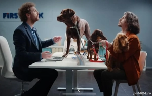 Teckel Daschund Șorecar București SECTOR 3 - imagine 4