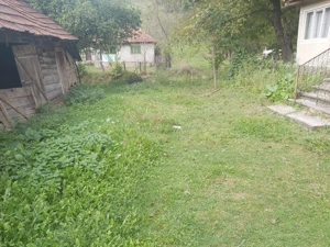 Vand casa si gradina - imagine 2