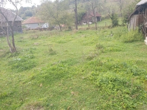 Vand casa si gradina - imagine 3