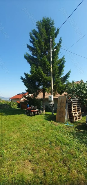 vand teren in parc cu proiect de casa