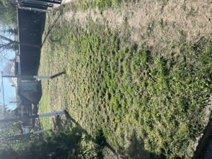 Oaza ta de liniște la țară  - imagine 3