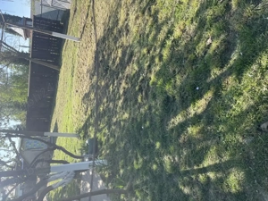 Oaza ta de liniște la țară  - imagine 2