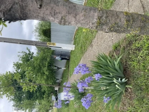 Oaza ta de liniște la țară