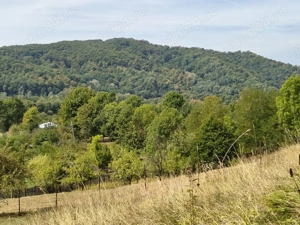 Vând 2 teren intravilan a câte 2050mp fiecare,livada cu nuci ideal pentru construcție sau investitie - imagine 3