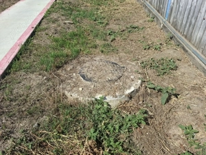 Casa cu teren in Tutora - imagine 8