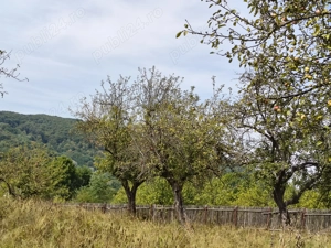 Vând 2 teren intravilan a câte 2050mp fiecare,livada cu nuci ideal pentru construcție sau investitie - imagine 16