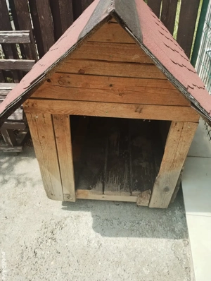 Cușcă solida pentru un caine de talie medie sau mare.