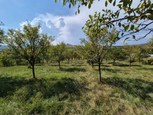 Vând teren, Strada Colonia Sopor - imagine 7