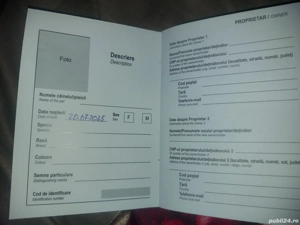 shih-tzu toys - imagine 4 shih-tzu toys - imagine 4