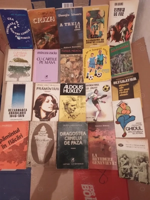 Vand 230 carti  cu literatura artistica  in Romana  la 1 leu bucata    