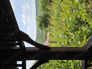 Oportunitate casa + anexe, 100 mp cu gradina 700mp