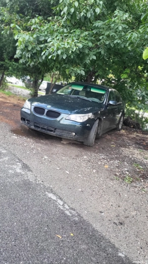 vand bmw e60