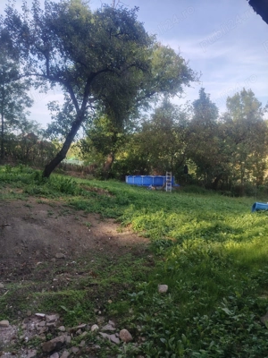 Casa boierească vânzare la Urseiu, Dambovita - imagine 9