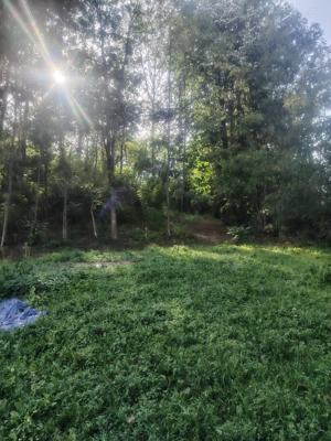 Casa boierească vânzare la Urseiu, Dambovita - imagine 8